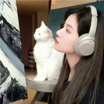 圆圈 海报